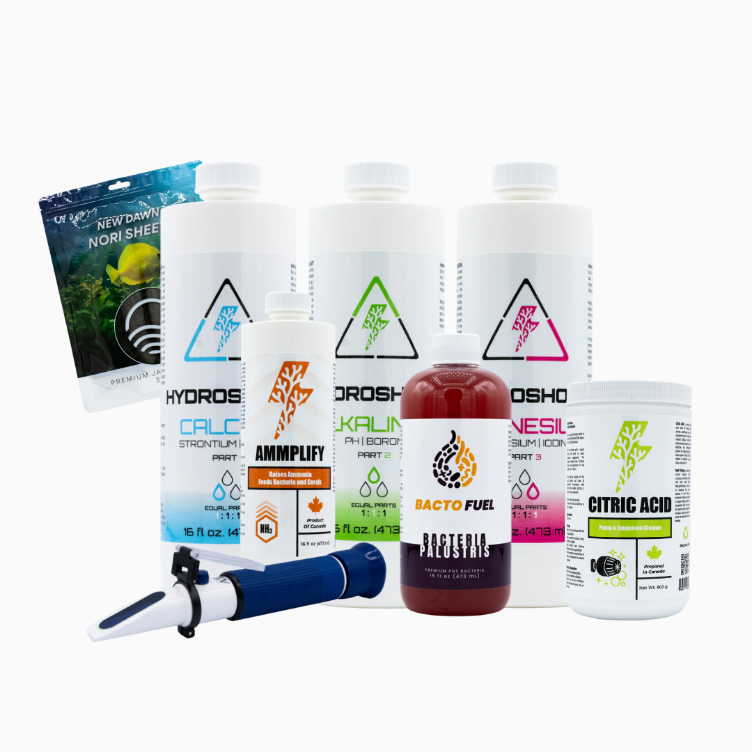 Reef Start Essentials Kit
