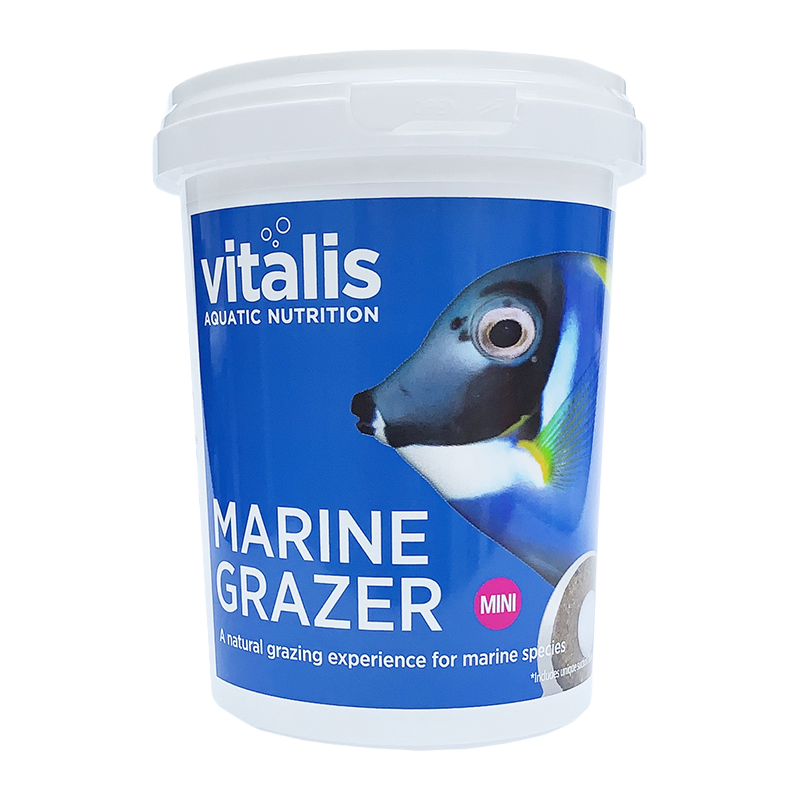 Marine Grazer Mini
