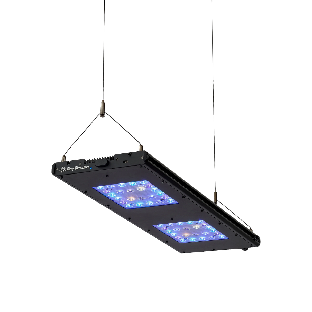 Meridian Hanging Wires