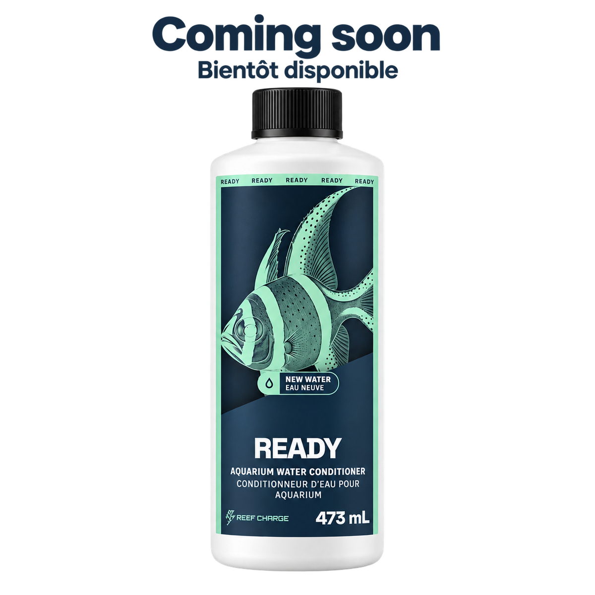 READY, 473 mL — Coming soon / Bientôt disponible. Slate blue and mint Round 64 label with Banggai cardinalfish, on a transparent background.
