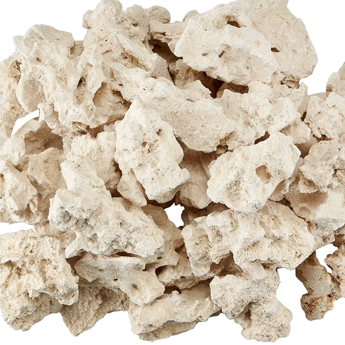 Reef Saver Frag Mount Rock