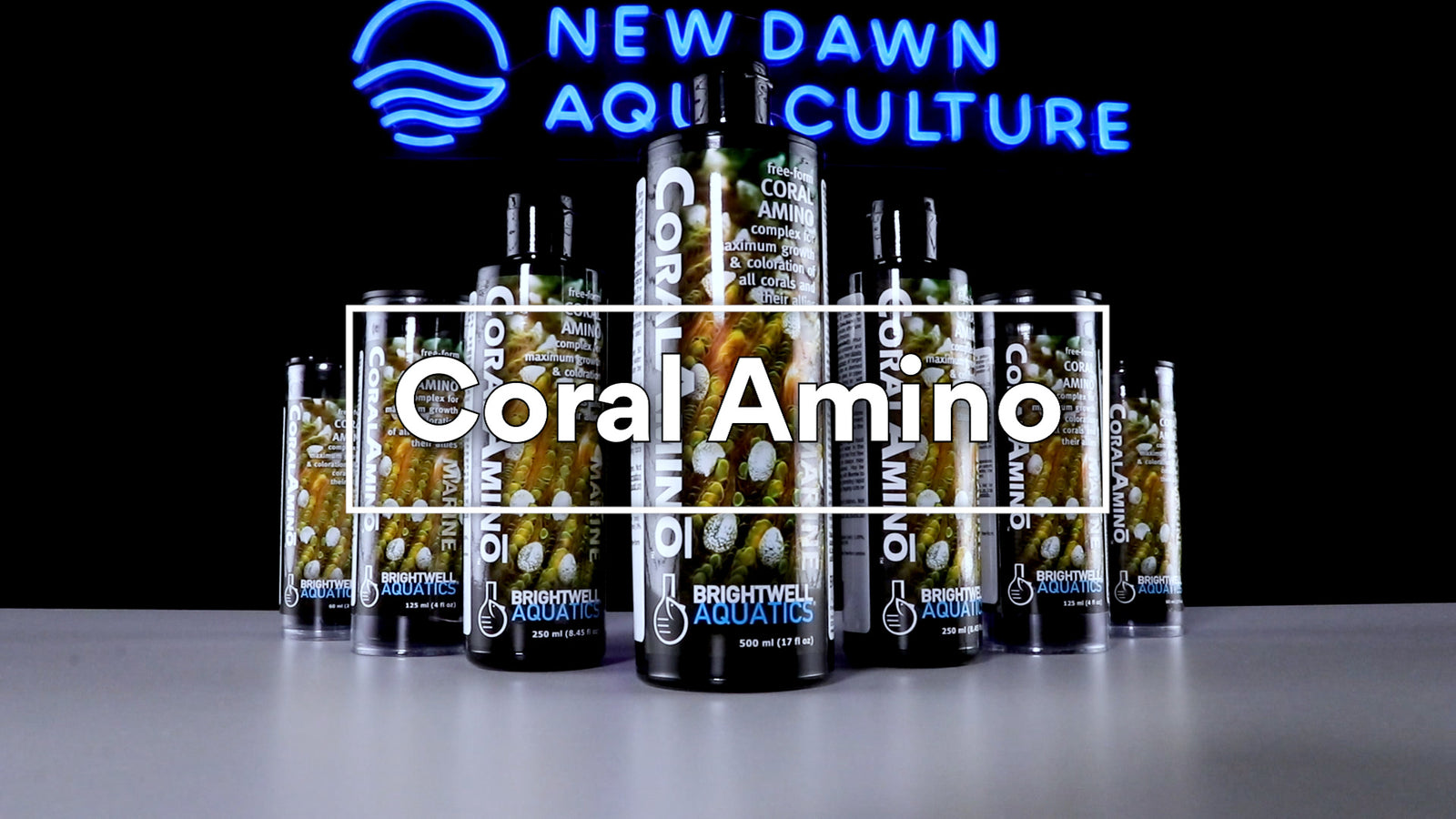 Coral Amino