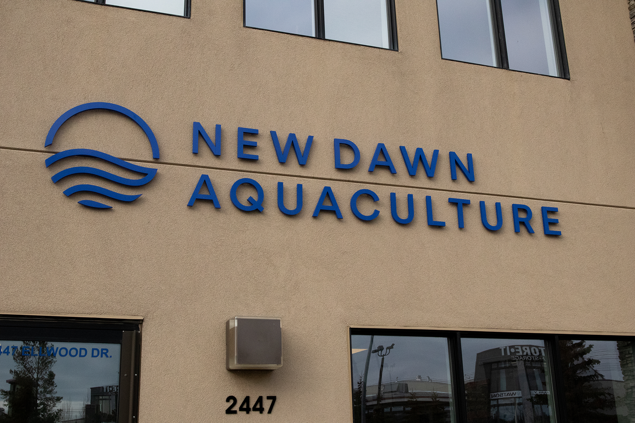 New Dawn's New Storefront