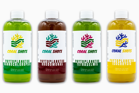 Grow Live Phytoplankton with Planktura