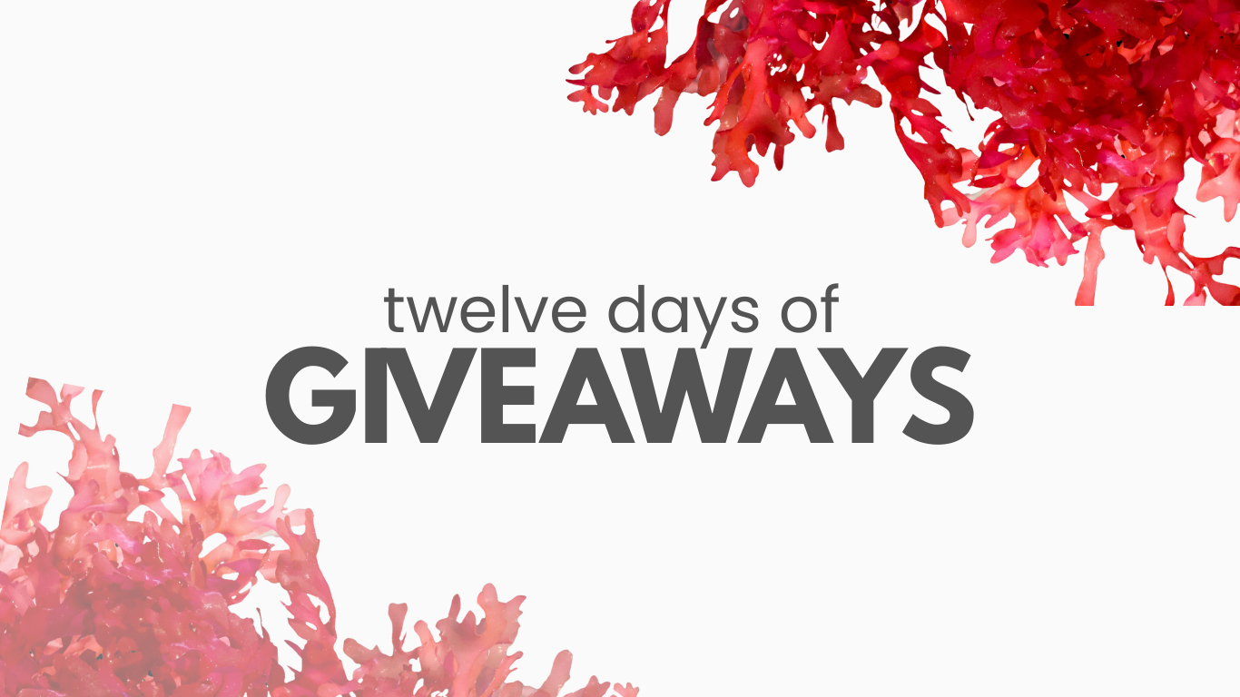 12 Days of Christmas Giveaway