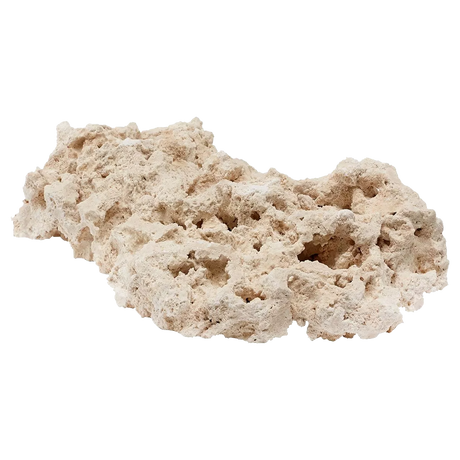 Foundation Reef Saver Rock