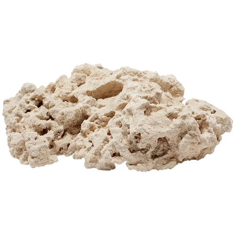 Foundation Reef Saver Rock