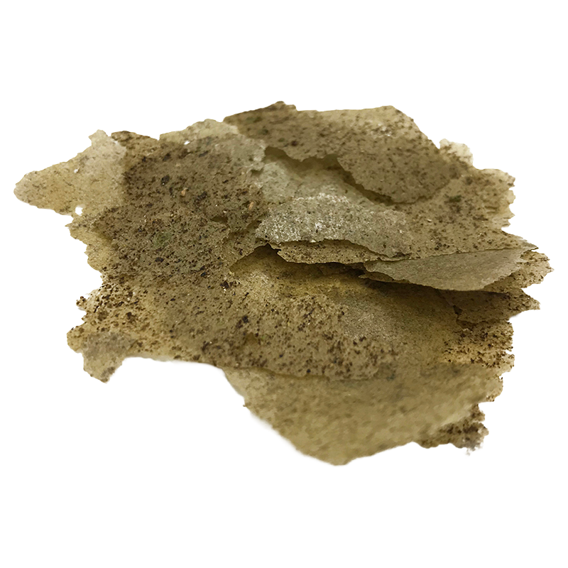 Algae Flake