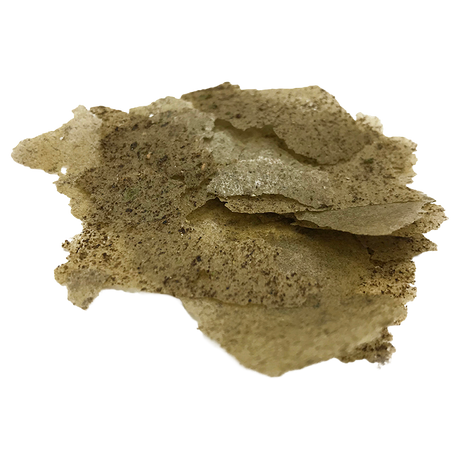 Algae Flake