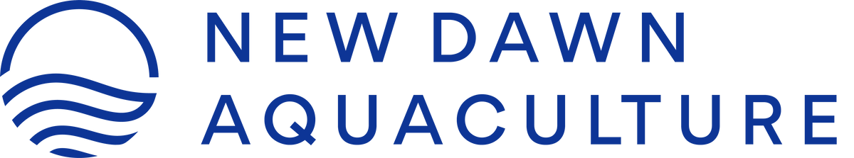 New Dawn