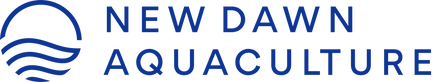 New Dawn