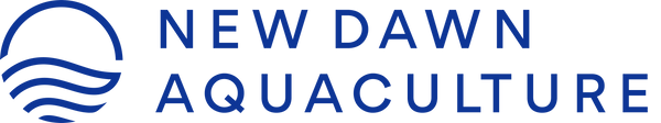 New Dawn