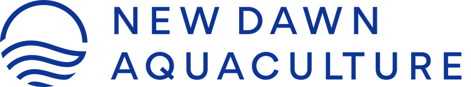 New Dawn