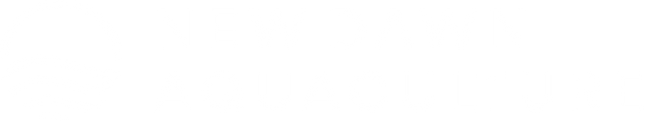 New Dawn