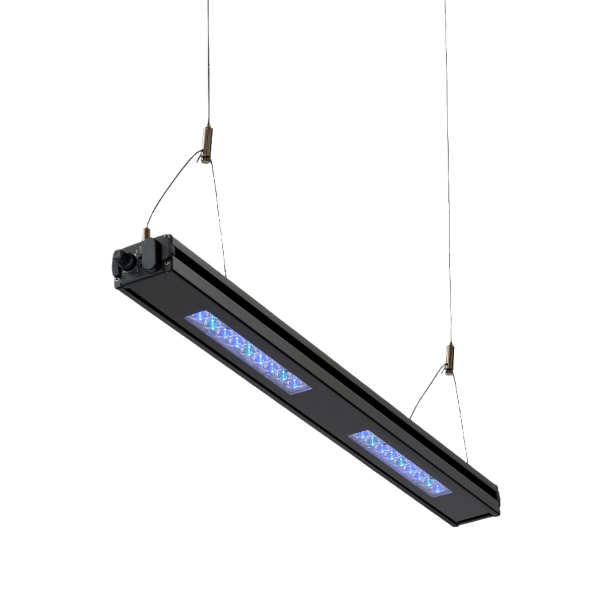 Meridian Hanging Wires