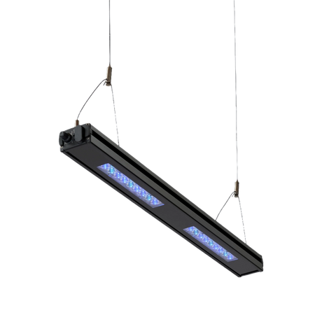 Meridian Hanging Wires