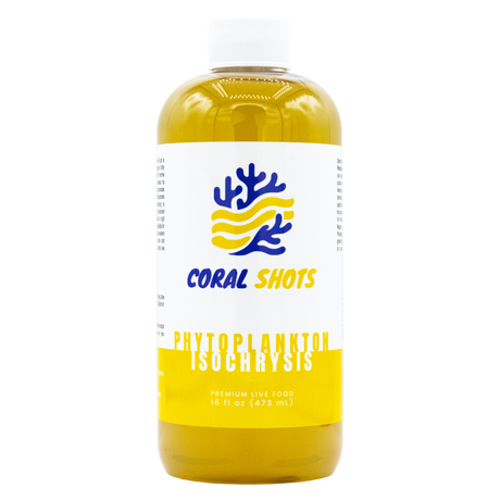 Ultimate Phyto Pack