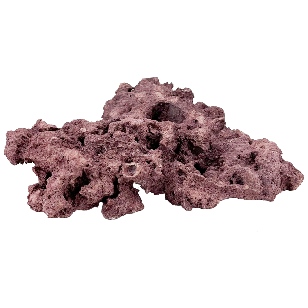 Coralline Foundation Reef Saver Rock