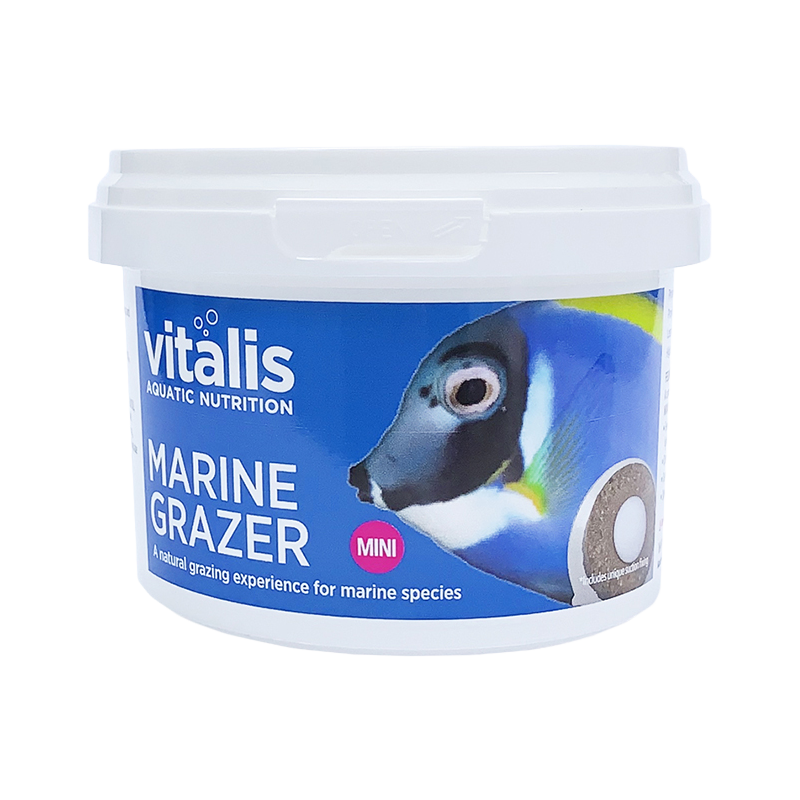 Marine Grazer Mini