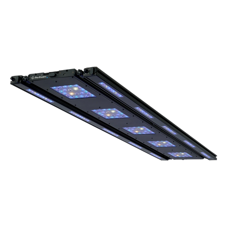 Meridian 63 Edge Bar Bundle