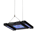 Meridian Hanging Wires