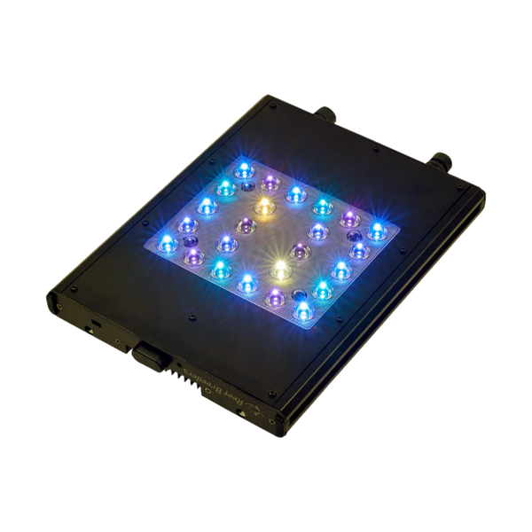 Lights