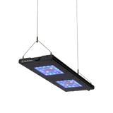 Meridian Hanging Wires