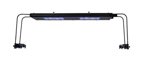 Meridian 24