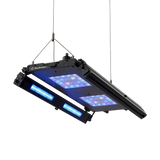 Edge Articulating Mounts