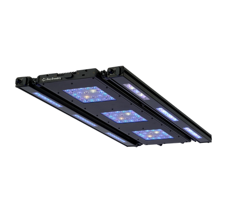 Meridian 35 Edge Bar Bundle