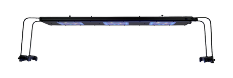 Meridian 35