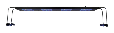 Meridian 45