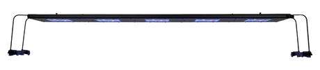Meridian 63