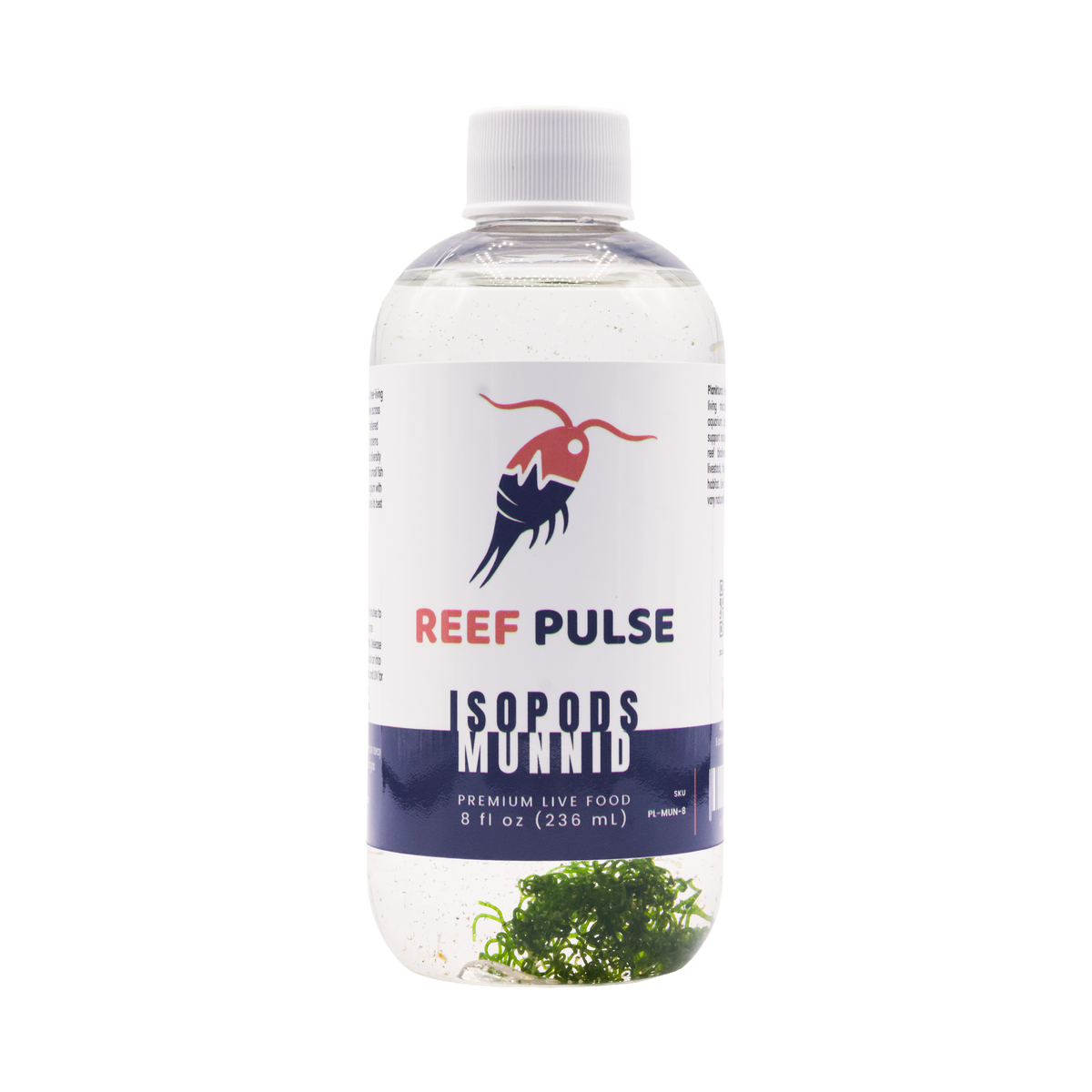 Planktura Reef Pulse Live Munnid Isopods 8 fl oz bottle