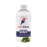 Planktura Reef Pulse Live Munnid Isopods 8 fl oz bottle
