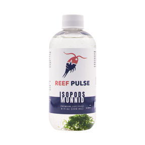 Planktura Reef Pulse Live Munnid Isopods 8 fl oz bottle