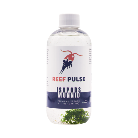 Planktura Reef Pulse Live Munnid Isopods 8 fl oz bottle