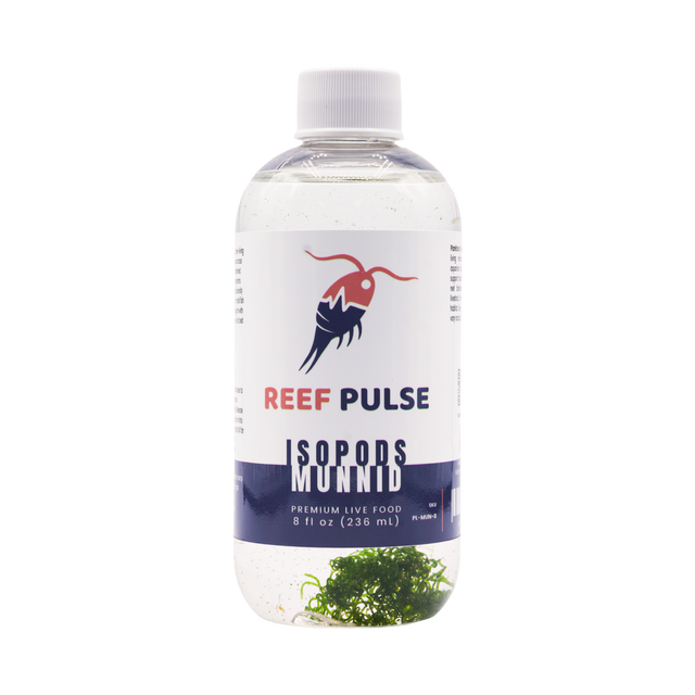 Planktura Reef Pulse Live Munnid Isopods 8 fl oz bottle