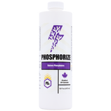 Phosphorize