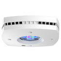 Prime 16 HD - LED Reef Light