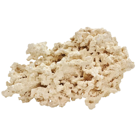 Reef Saver Rock