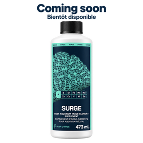 SURGE, 473 mL — Coming soon / Bientôt disponible. Current dark navy and teal coral label, on a transparent background.