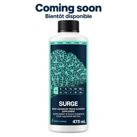 SURGE, 473 mL — Coming soon / Bientôt disponible. Current dark navy and teal coral label, on a transparent background.