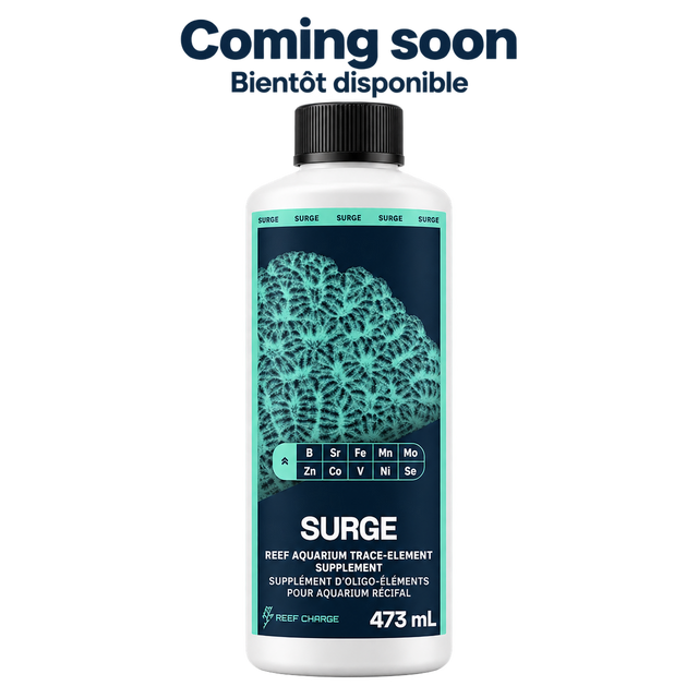 SURGE, 473 mL — Coming soon / Bientôt disponible. Current dark navy and teal coral label, on a transparent background.