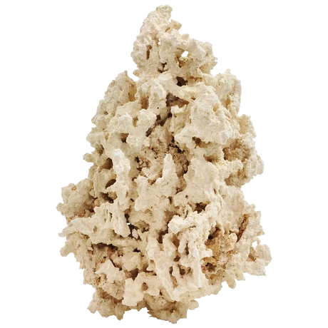 Reef Saver Rock
