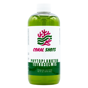 Tetraselmis Live Phytoplankton