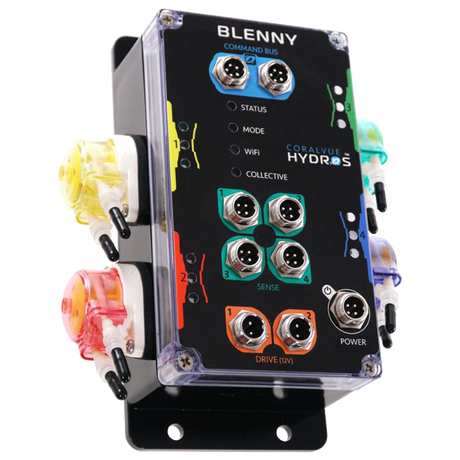 Hydros Blenny