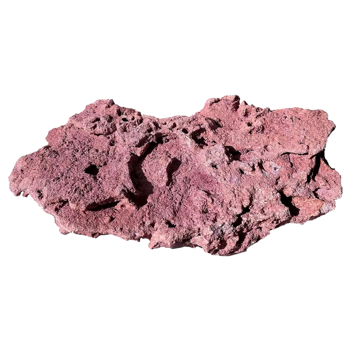 Coralline Premium Shelf Reef Saver Rock