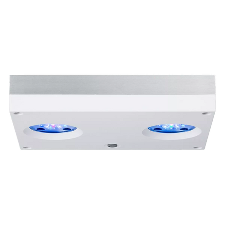Hydra 32 HD LED Reef Light