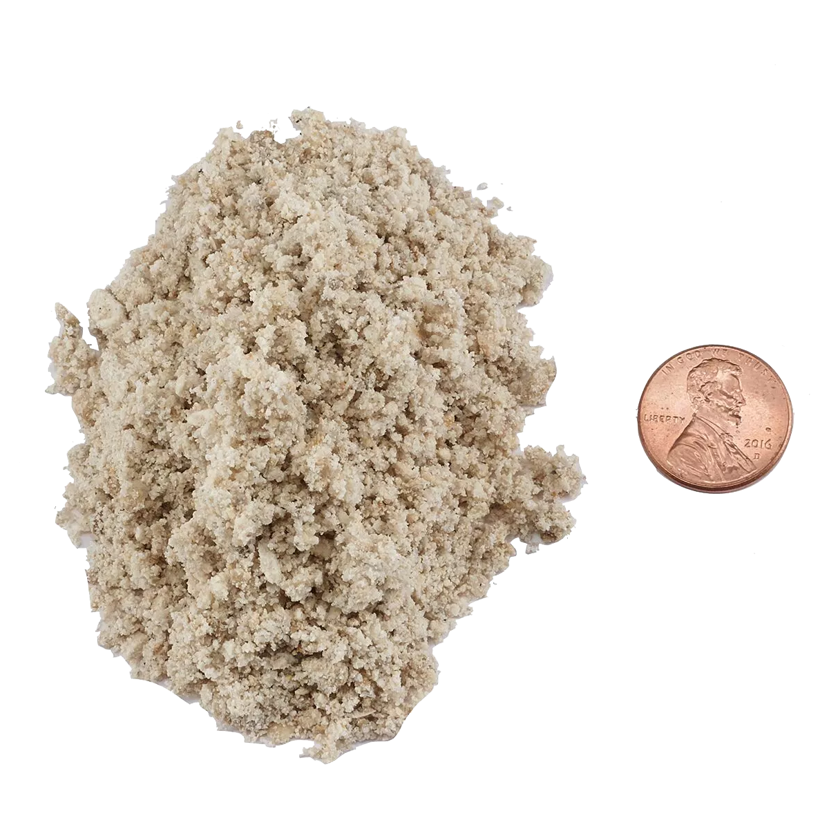 Bahama Aragonite Sand